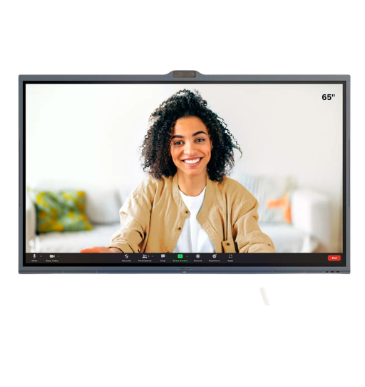 SAPIXCO INTERACTIVE FLAT PANEL Model: SAP-65C (With Camera & Microphone)